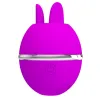 PRETTY LOVE - GEMINI BALL PURPLE ROUND SILICONE VIBRATOR