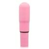 GLOSSY - POCKET VIBRATOR PINK