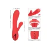 CALEXOTICS - PALISADES PASSION RED