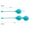 INTENSE - KEGEL BALLS PACK KENDALL BLUE