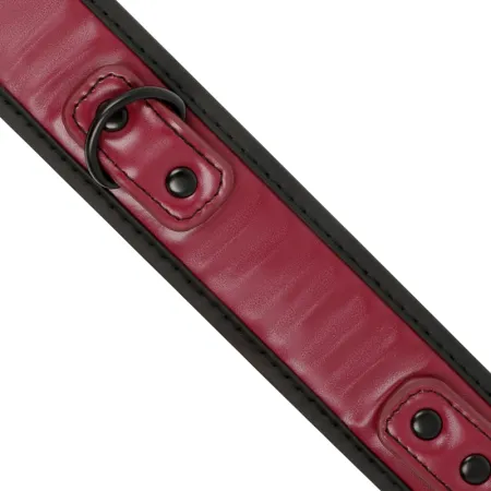 FETISH SUBMISSIVE DARK ROOM - COLLAR WITH LEASH WITH NEOPRENE LINING