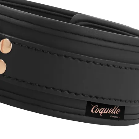 COQUETTE CHIC DESIRE - FANTASY VEGAN LEATHER COLLAR WITH NEOPRENE LINING