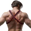 FETISH SUBMISSIVE ATTITUDE - BULLDOG CHEST HARNESS ECO LEATHER BLACK/RED MEN