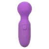 CALEXOTICS - FIRST TIME RECHARGEABLE MASSAGER 10 VIBRATIONS PURPLE