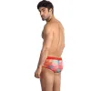 ANAIS MEN - FALCON BRIEF L
